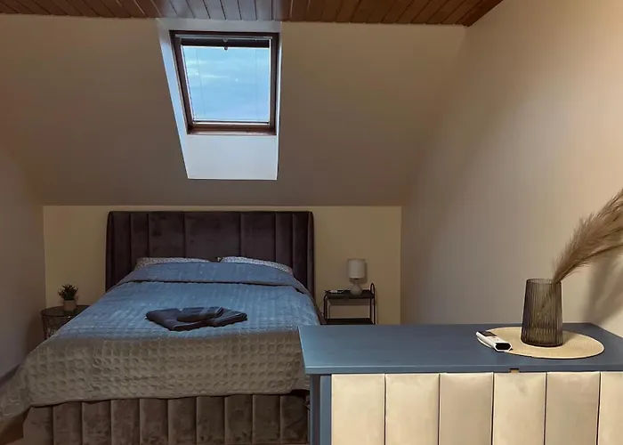 Saulelydzio Apartamentai شقة *